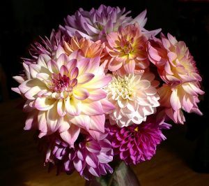 Colorful Dahlia Bouquet