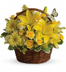 Basket Full of Wishes in Port Chester NY, Port Chester Florist