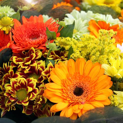 Thanksgiving Etiquette Flowers